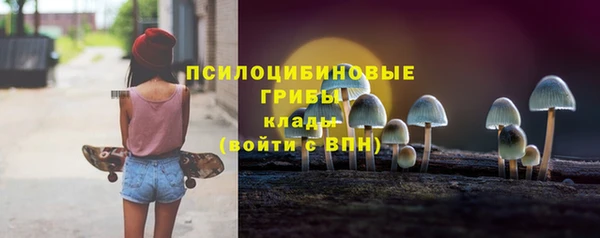 марки lsd Гусиноозёрск