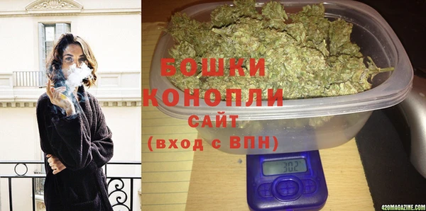 молекула духа Дмитровск