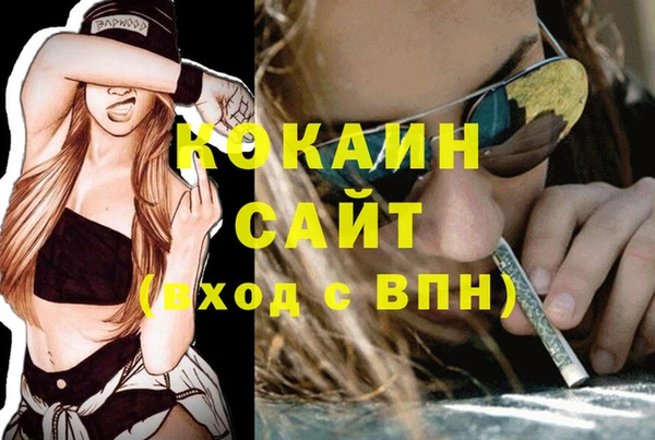 спайс Дмитриев