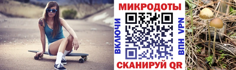 Галлюциногенные грибы прущие грибы  Дрезна 